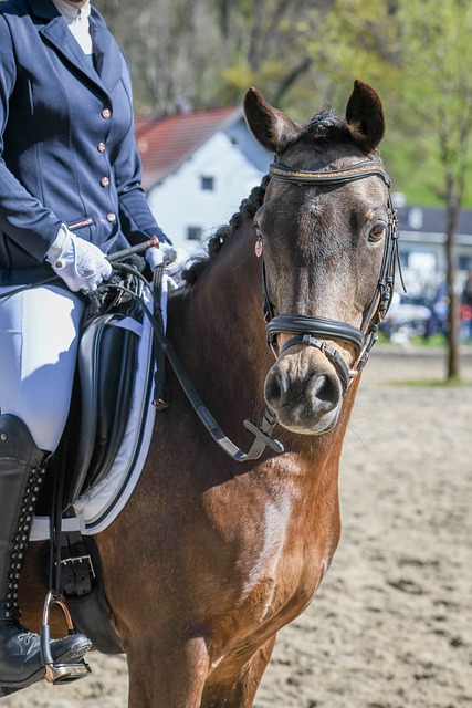 皇家马德里0-3大胜背后的隐忧：阿尔瓦罗·贝尼托的深度质疑