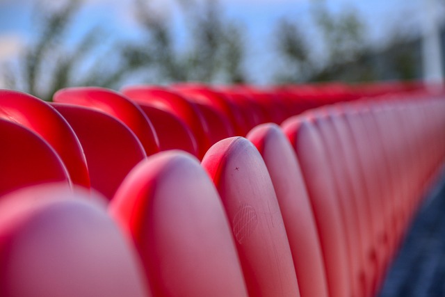 索戈不仅能 索戈不仅能