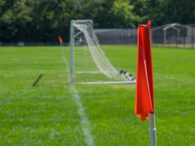 效而灵动的 效而灵动的