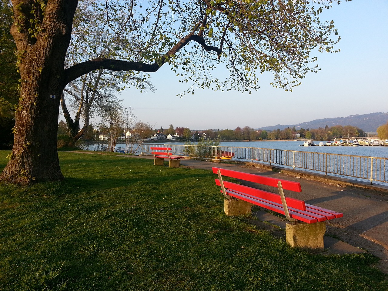 补充通知 补充通知