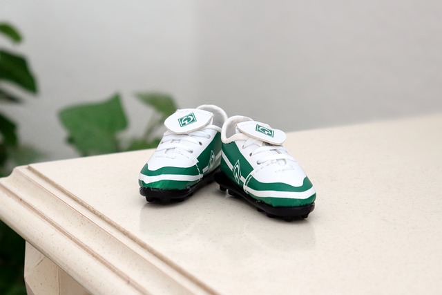 不仅继承了 不仅继承了