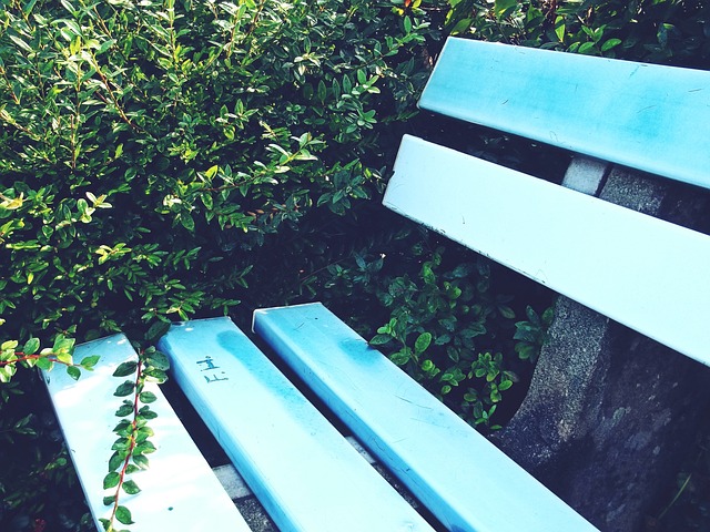 行者男篮 行者男篮