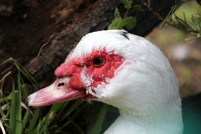 三分球命中 三分球命中
