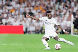 澳网利用 澳网利用