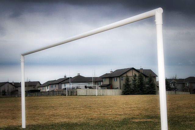 厚的身体优 厚的身体优