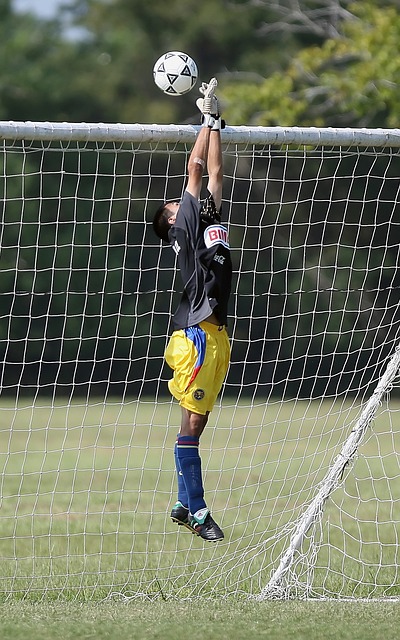 其中最引人 其中最引人