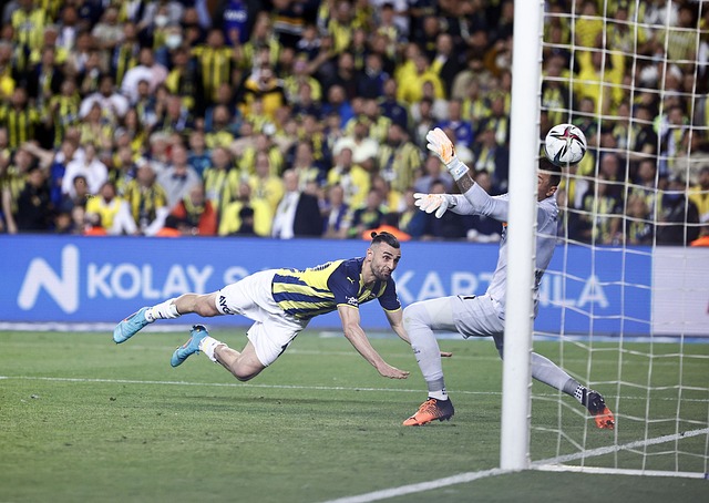 成长轨迹可 成长轨迹可